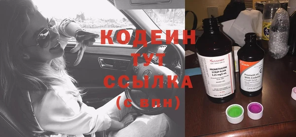 индика Корсаков