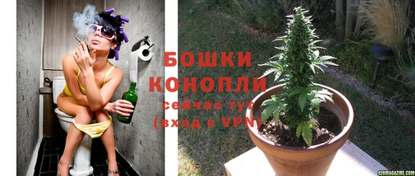 индика Корсаков