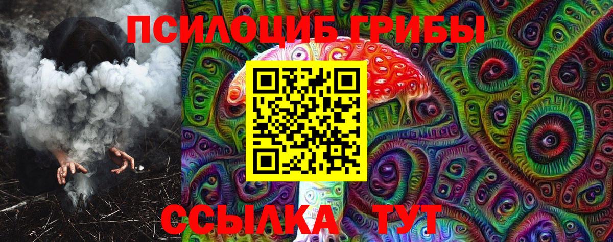 Псилоцибиновые грибы Psilocybine cubensis  Абакан 